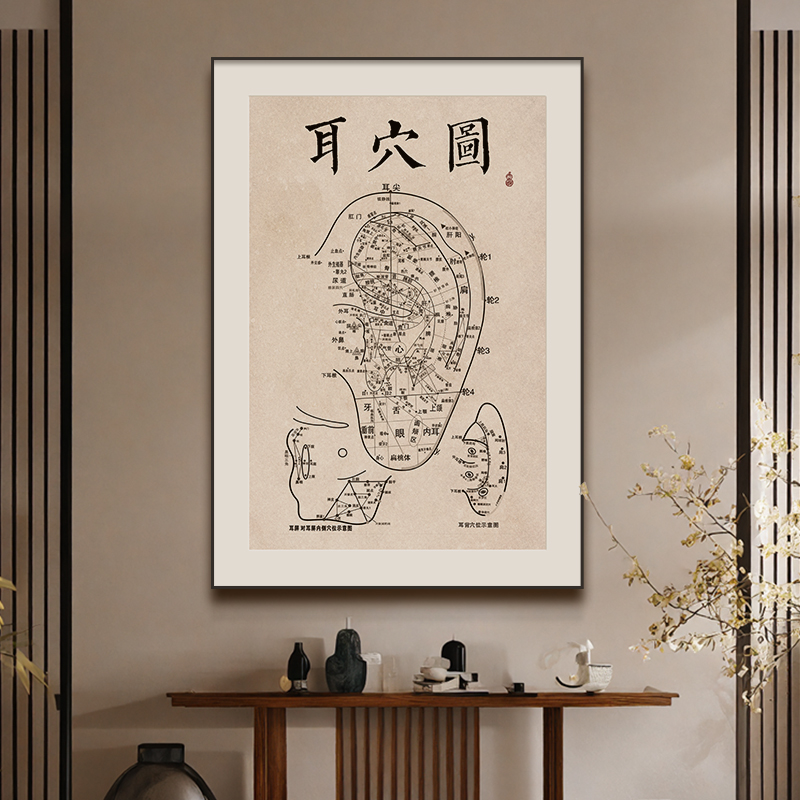耳穴图装饰画美容院针灸理疗店