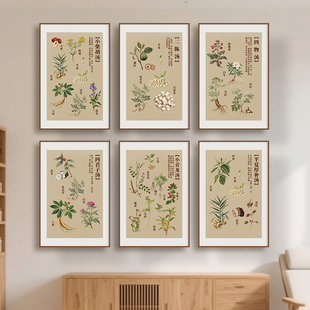 中医养生馆装饰画中草药汤剂挂画中医馆中药房中草药知识宣传壁画