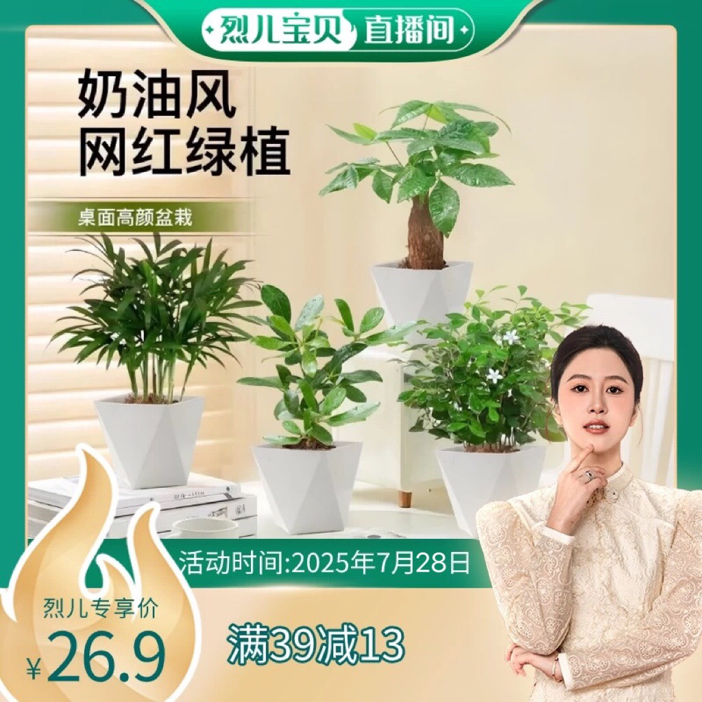 【烈儿725粉丝节】种花的大象发财树九里香鸭脚木袖珍椰子盆栽