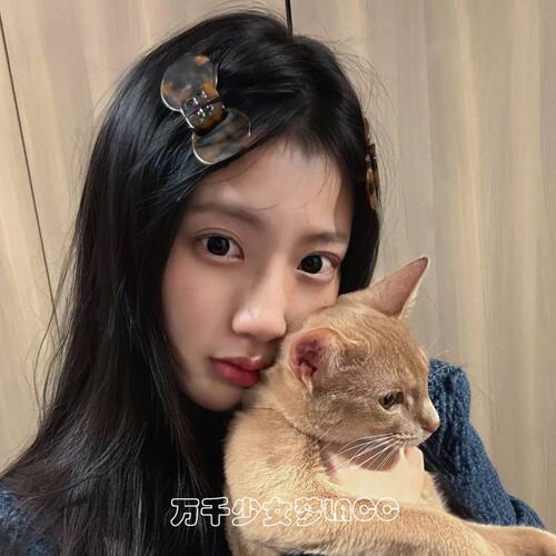 韩系复古玳瑁蝴蝶结发夹超显气质