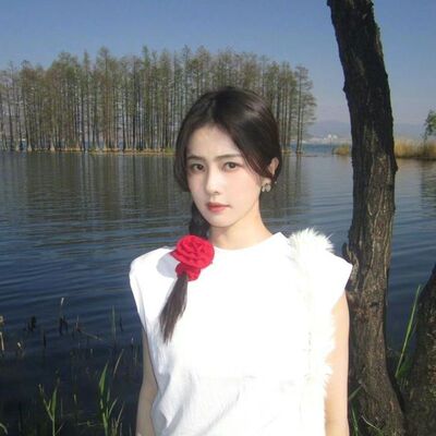 白鹿同款红色玫瑰花大肠发圈显白扎发皮筋头绳发带头饰发绳头花女