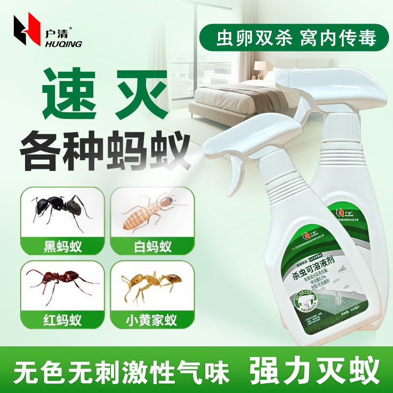 除小黄家红蚂蚁药家用室内连环灭