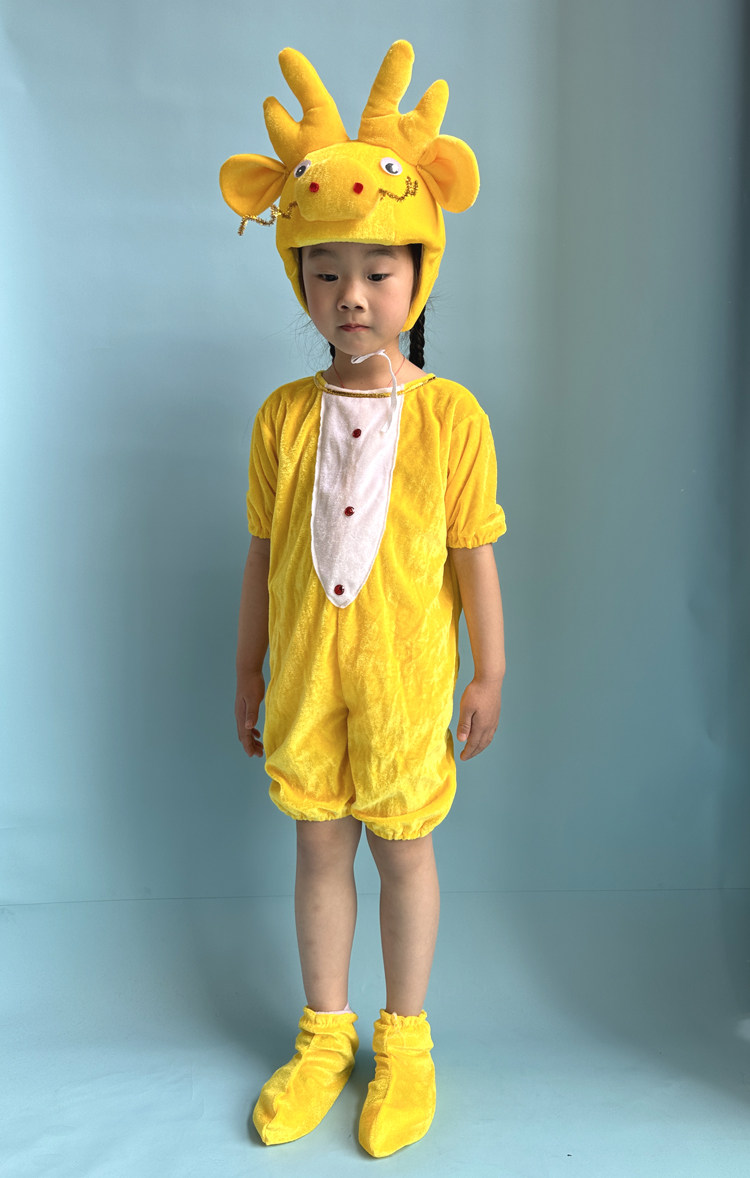 小青龙动物演出服装幼儿大童小龙人造型成人十二生肖舞蹈表演衣服