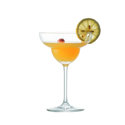 schott肖特水晶三角马提尼杯