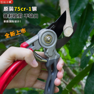 德国钢省力修枝剪园艺剪树枝专用剪刀园林修剪果树修粗枝花艺剪子