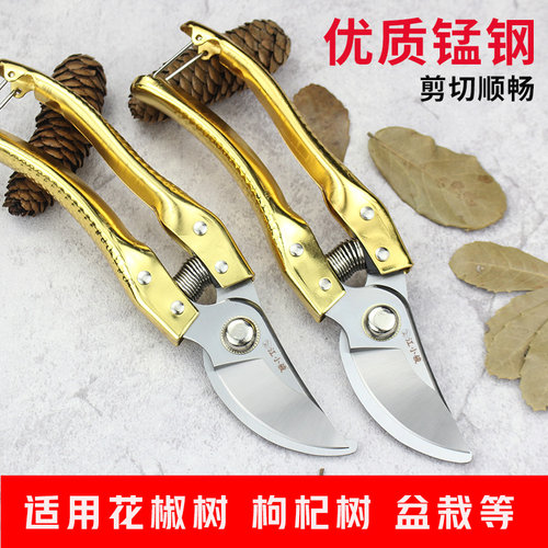 锰钢修枝剪花枝的剪刀家用剪果树剪刀摘花椒神器剪葡萄树修花剪刀