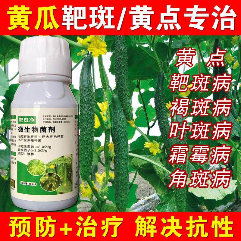 黄瓜病专用药黄瓜靶斑病霜霉病褐斑病叶枯病炭疽病黄瓜专用杀菌剂