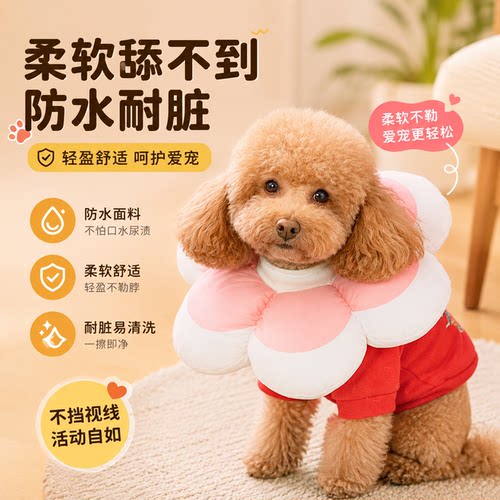 伊丽莎白圈狗伊利沙白中型犬狗狗项圈夏季防咬防舔软脖套头套神器 - 封面