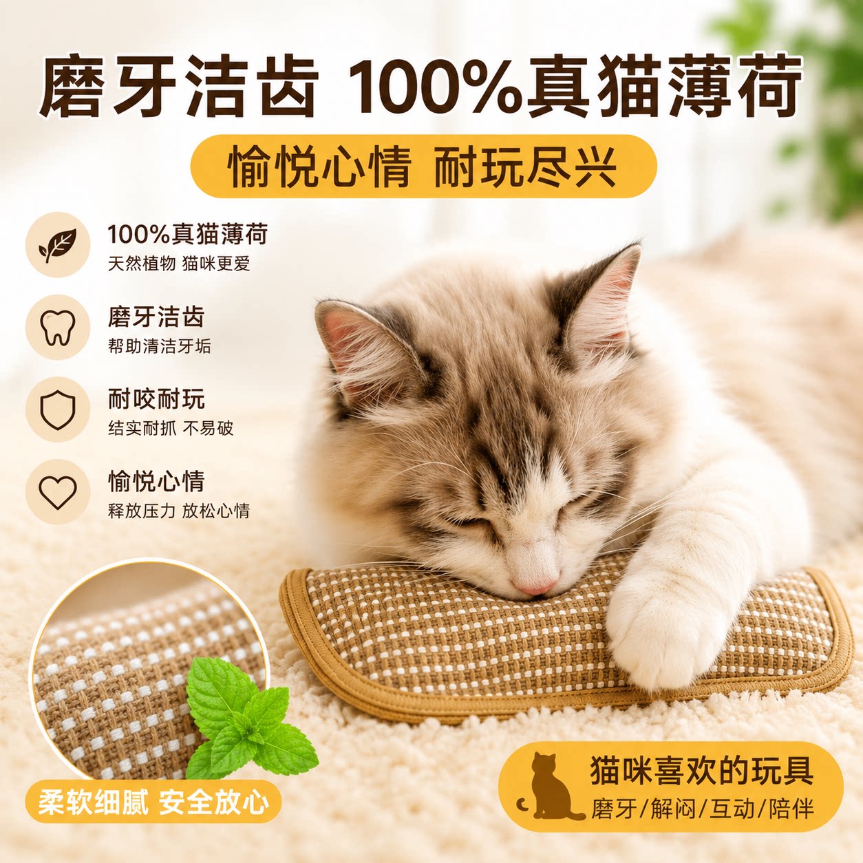 【100%天然猫薄荷】好玩到不放手图片