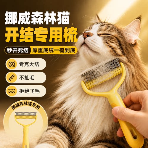挪威森林猫开结去浮毛底绒梳
