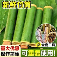 竹筒粽子模具纯天然新鲜现做现发竹筒商用家用摆摊包粽子竹筒全套