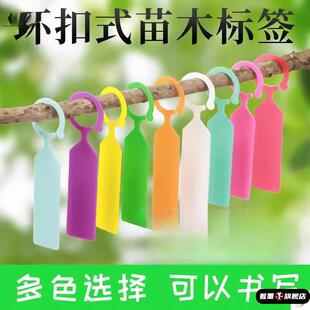 园艺标签环扣式全新加厚塑料防水苗木花卉葡萄瓜果植物分类标记牌