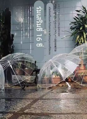 16骨透明雨伞长柄大号双人女白色拍照雨伞晴雨两用结实抗风网红伞