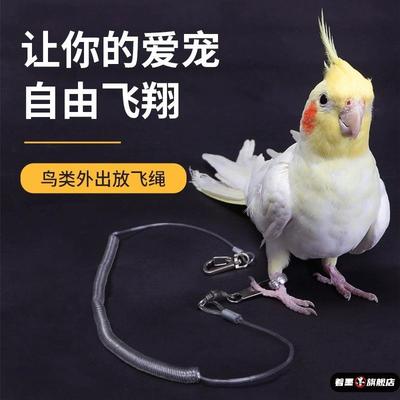 八哥专用放飞绳鸟用鹦鹉牵引绳外出遛鸟牵引带虎皮玄风弹力飞行绳
