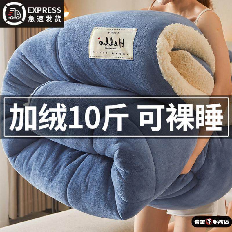 羊羔绒被子2025新款冬季棉被被芯冬天单人宿舍秋冬被加厚保暖10斤,床上用品,化纤被,淘宝优惠券,粉丝福利购,淘宝优惠卷