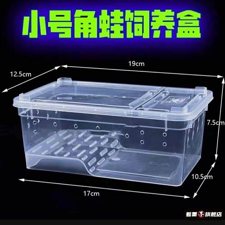 宠趣小饲养盒蚯蚓家用青蛙养殖蛋玻璃箱箱刺猬黄粉虫蟋蟀中号甲。,宠物/宠物食品及用品,爬宠缸/箱,淘宝优惠券,粉丝福利购,淘宝优惠卷