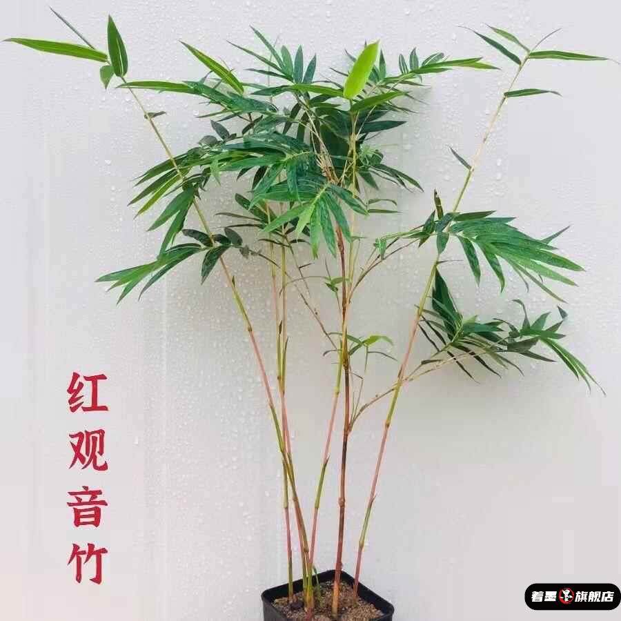 不锈钢不锈钢冰淇淋西餐餐具套装