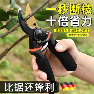 德国精工剪枝剪刀修剪树枝果树专用工具家用园艺花艺粗枝修枝剪子