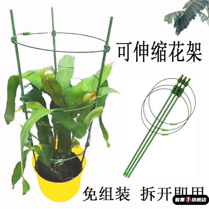昙花专用支架可伸缩令箭球兰蓝雪花金钱树朱顶红虎皮兰护叶爬藤架图片