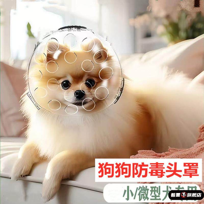 小狗防毒面罩狗狗太空头罩宇航员头套防乱吃宠物嘴罩防舔咬防误食,宠物/宠物食品及用品,宠物伊丽莎白圈,淘宝优惠券,粉丝福利购,淘宝优惠卷