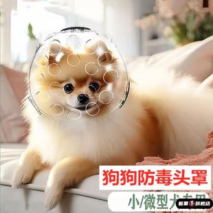 小狗防毒面罩狗狗太空头罩宇航员头套防乱吃宠物嘴罩防舔咬防误食