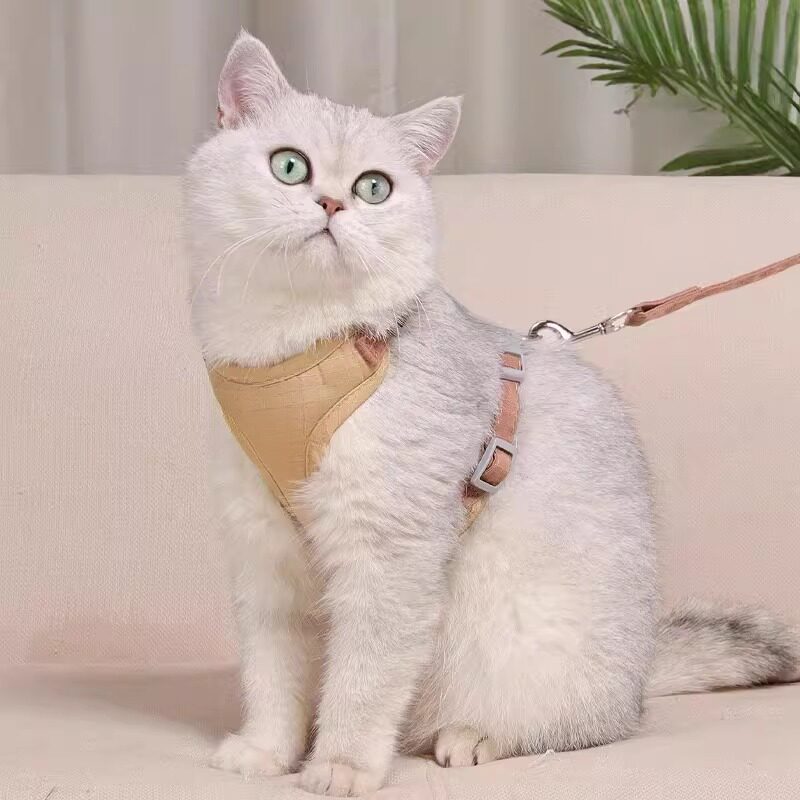 猫咪牵引绳背心式防挣脱幼猫外出神器银渐层蓝猫工字型遛猫绳链子