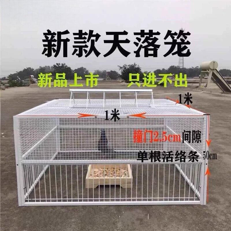 捕鸽神器抓鸽子笼全自动户外野布鸽天落笼扑捉逮撞门笼只进不出收