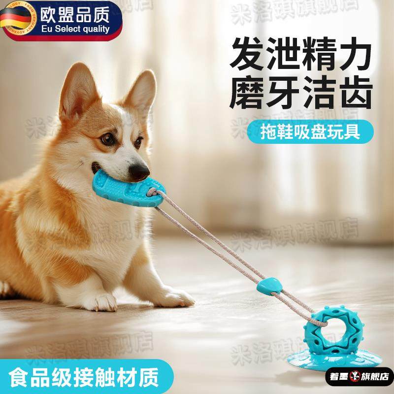 狗狗玩具解闷神器自嗨耐咬不烂磨牙吸盘边牧消耗体力小狗宠物用品,宠物/宠物食品及用品,橡胶球/球形玩具,淘宝优惠券,粉丝福利购,淘宝优惠卷