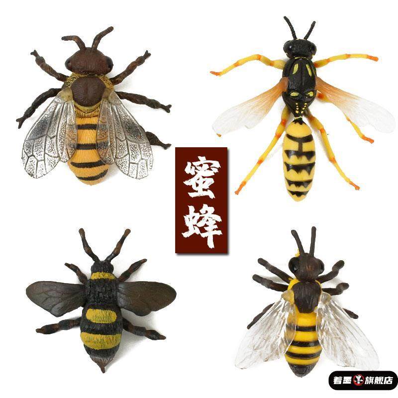 儿童仿真塑料昆虫玩具动物模型蜜蜂大黄蜂宝宝认知科学早教礼物,模玩/动漫/周边/娃圈三坑/桌游,文化/体育周边,淘宝优惠券,粉丝福利购,淘宝优惠卷