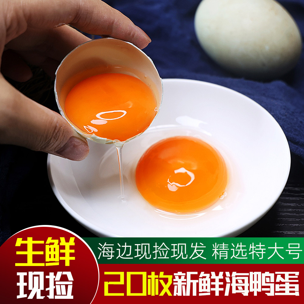 红树林海鸭蛋新鲜批发正宗农家