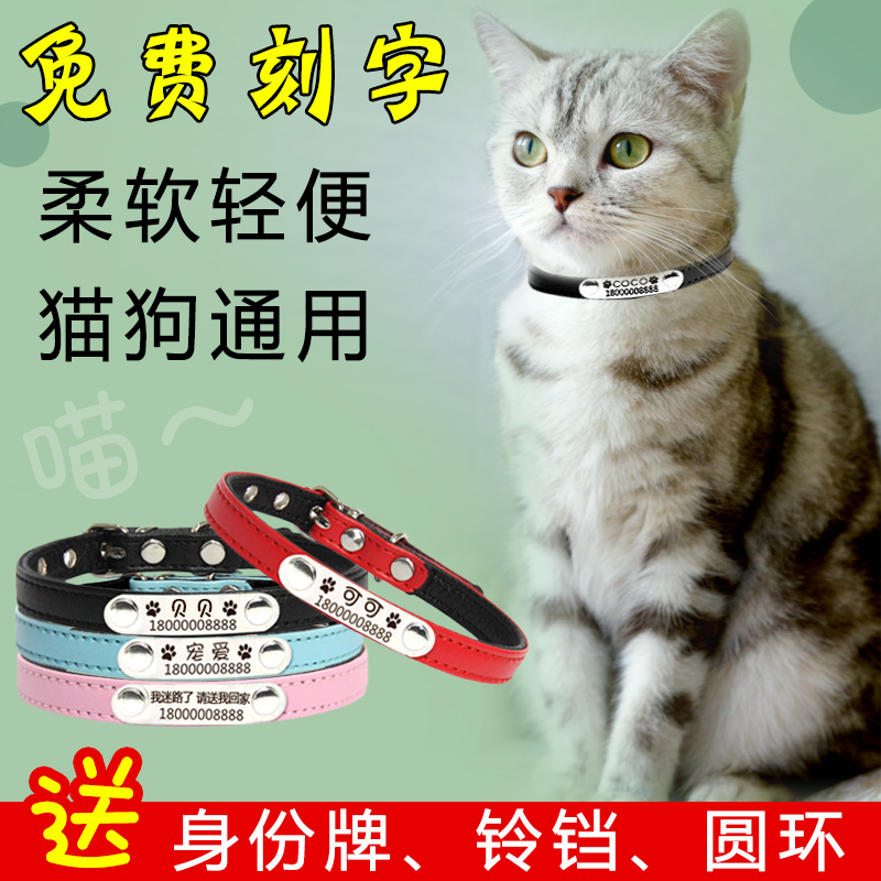 猫咪项圈刻字防走丢身份牌铃铛项链宠物猫牌狗牌猫脖圈小型犬吊牌 宠物/宠物食品及用品 项圈/肩带 原图主图