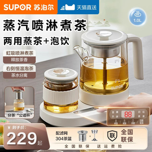 苏泊尔养生壶家用多功能2025新款 办公室迷你小型玻璃烧水煮花茶壶