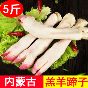 5斤内蒙古草原散养羔羊蹄子新鲜冷冻生羊蹄脚红烧烤羊脚食材2斤
