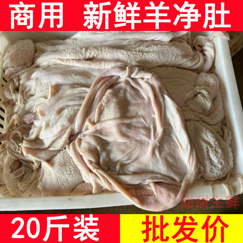 新鲜冷冻羊净肚20斤整箱商用生羊肚子羊杂汤羊肉汤粉店食材10斤