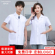 白大褂短款 半身小褂推拿按摩牙科口腔工作服 薄款 男短袖 医生服夏季