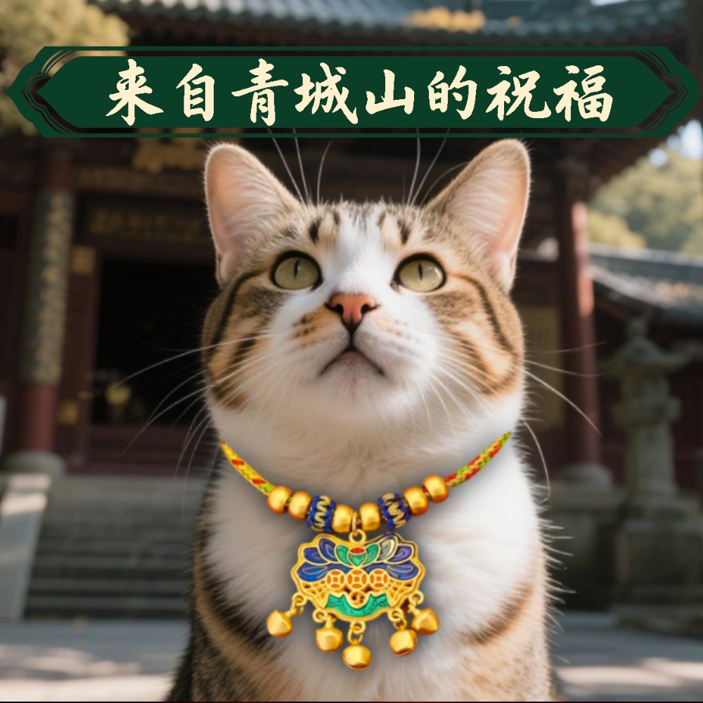 中国风猫咪配饰项圈富贵长命锁