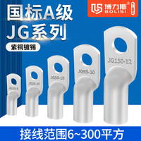 鳳凰品質(zhì)JG紫銅線鼻子