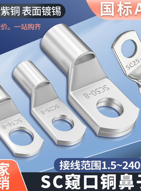 SC国标窥口铜线鼻子紫铜线耳镀锡冷压接线端子6/10/35平方 铜鼻子