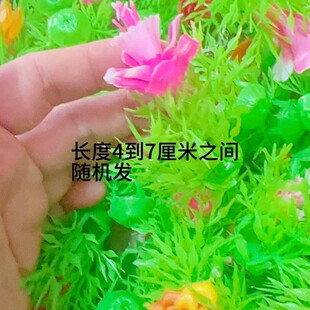 扮配件纯手工贴花艺品 饰花塑料材质假花彩色混色装 新款 中秋装
