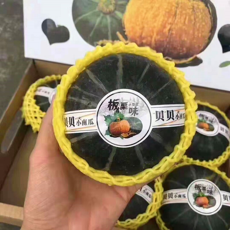 日本品种正宗6只礼盒装贝贝南瓜
