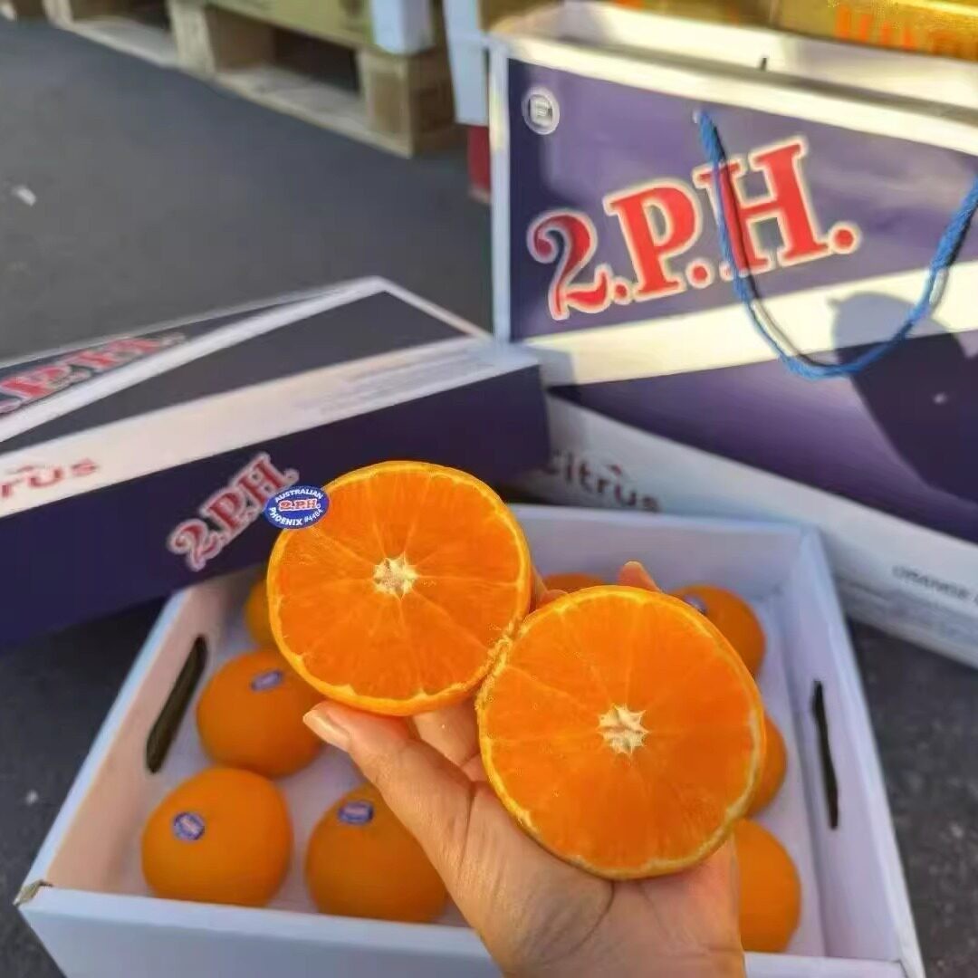 现货澳大利亚进口澳橘2ph蜜橘礼盒装4斤纯甜多汁当季新鲜水果包邮