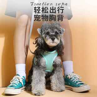 宠物外出牵引绳中小型犬胸背高质量反光遛狗绳猫咪牵引绳跨境