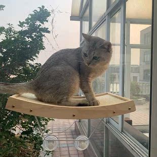 实木猫抓板吊床阳台壁挂吸盘式挂窝窗台观景猫咪休闲眺望台