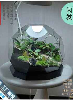 微景观雨林玻璃罩几何花房装饰摆件办公室造景生态瓶星球形花器皿