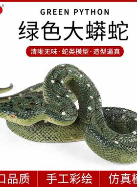 跨境仿真野生动物玩具模型绿色盘旋大蟒蛇黄金蟒两栖爬行整蛊玩具