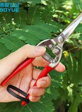 摘果剪稀果剪葡萄瓜果蔬菜剪不锈钢直头园艺理枝 去芽剪刀修枝剪