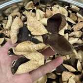 2013年东甲圈枝老青皮