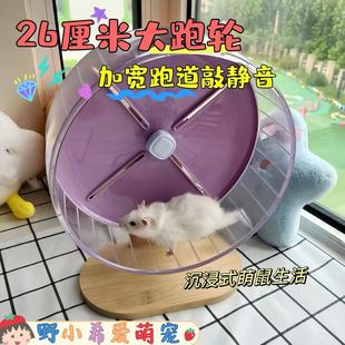 仓鼠26cm糖果主题超静音跑轮金丝熊亚克力双轴承滚轮笼子配件跑盘