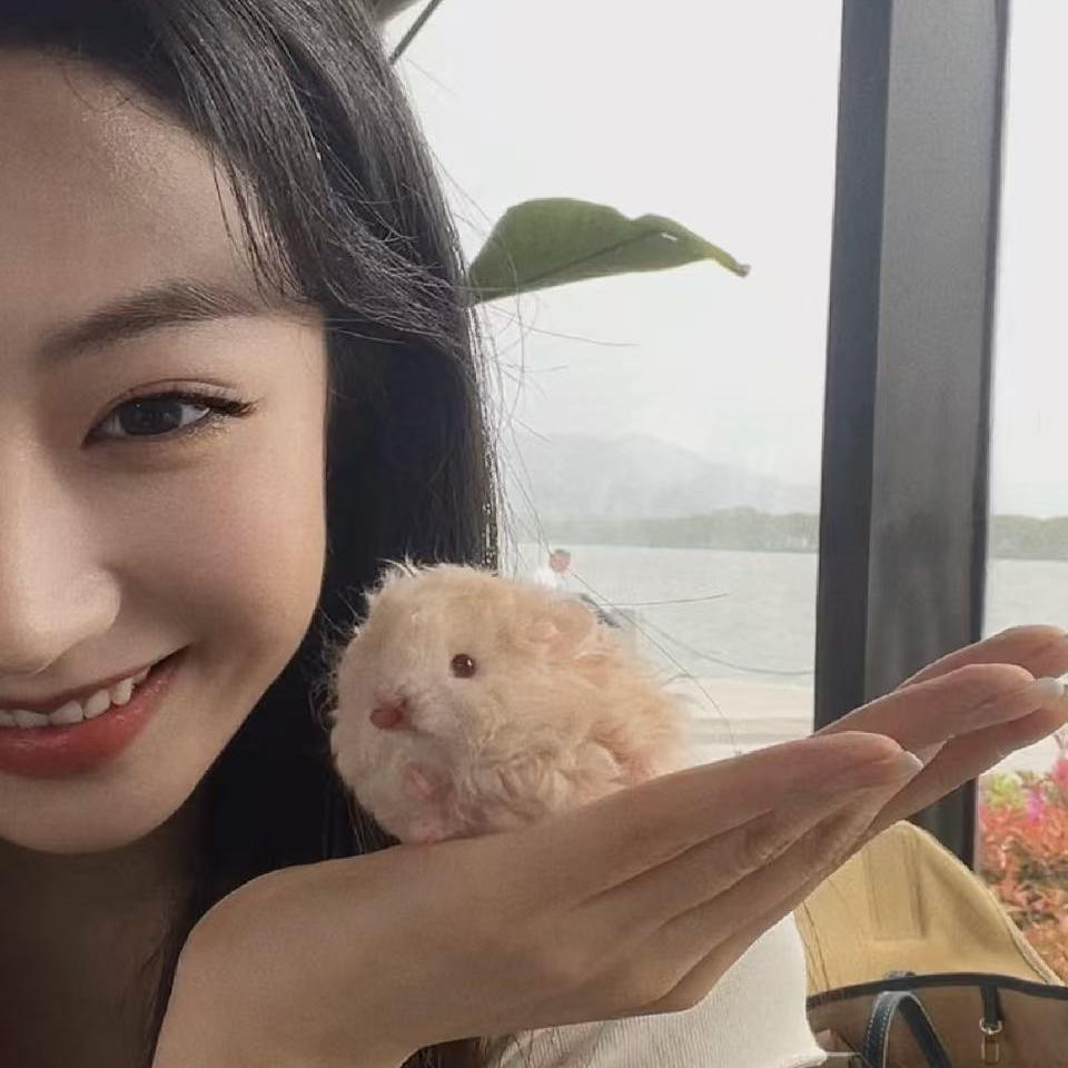 DOBI熊屋纪念视频，售罄