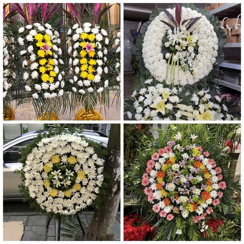 芜湖市镜湖区鸠江区南陵县花圈白